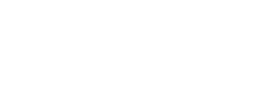 Elsewedy Logo