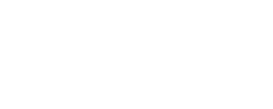 Steng Logo